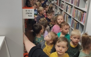 Biblioteka  (4)