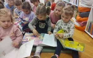 Biblioteka  (3)