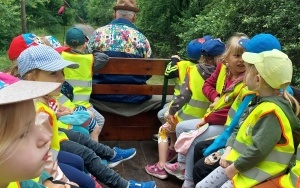 wycieczka (7)
