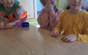 Dzień Dyni - pomarańczowy dzień  (8)