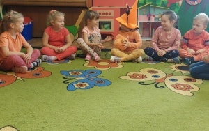 Dzień Dyni (1)