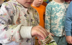 Przedszkolaki z Nędzy  (13)