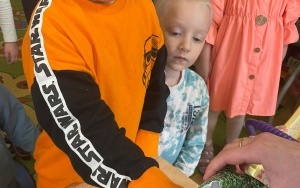 Przedszkolaki z Nędzy  (12)