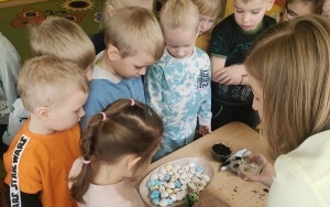 Przedszkolaki z Nędzy  (2)