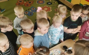 Przedszkolaki z Nędzy  (3)