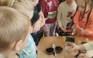 Przedszkolaki z Nędzy  (4)