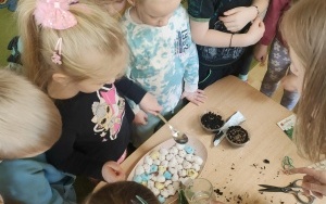 Przedszkolaki z Nędzy  (1)