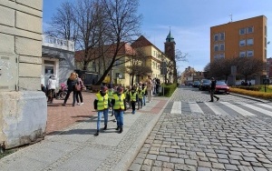 Sówki - wycieczka (11)