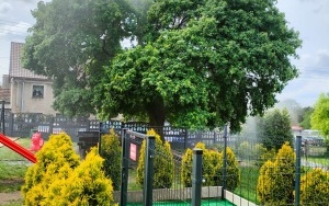 Dzień Strażaka  (7)