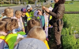 Wycieczka do Kontenerowej Szkółki Leśnej w Nędzy - Jeżyki i Sówki (8)