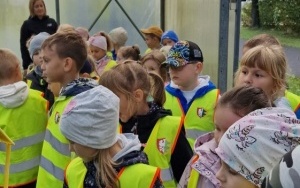 Wycieczka do Kontenerowej Szkółki Leśnej w Nędzy - Jeżyki i Sówki (14)