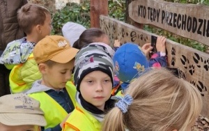 Wycieczka do Kontenerowej Szkółki Leśnej w Nędzy - Jeżyki i Sówki (3)