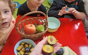 Zdrowe żywienie  (6)