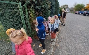 Bezpieczne przedszkolaki (15)