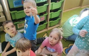 Przedszkolaki z Nędzy  (5)