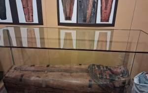 Wycieczka do muzeum (1)