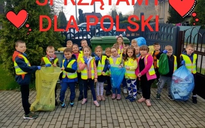 Sprzątanie dla Polski