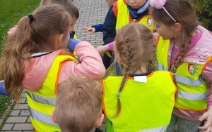 Sprzątanie dla Polski (5)